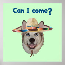 Can I Come Dog Poster