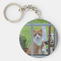 Can I Come In Pumpkin. Key Chain