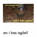 can i has agile? t-shirts by shineonucrazydiamond can i has agile? t-shirts