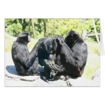 can i pick your brain? greeting cards