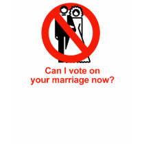 Can I vote on your marriage now t-shirts by gayshirts Can I vote on your marriage now t-shirts