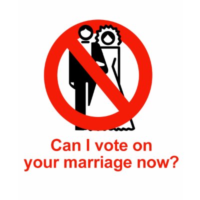 Can I vote on your marriage now Tee Shirt by gayshirts