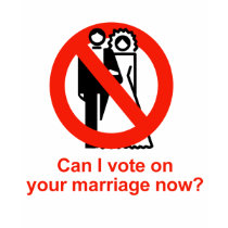 Can I vote on your marriage now t-shirts