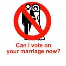 Can I vote on your marriage now t-shirts by gayshirts Can I vote on your marriage now t-shirts