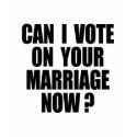 CAN I VOTE ON YOUR MARRIAGE? t-shirts