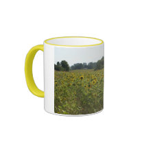 can you belive all this mugs by mark59956 can you belive all this mugs