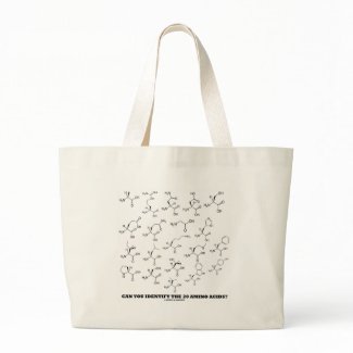 Can You Identify The 20 Amino Acids? (Chemistry) bag