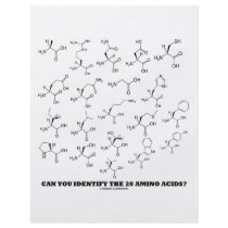 Can You Identify The 20 Amino Acids? (Chemistry) flyers