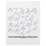 Can You Identify The 20 Amino Acids? (Chemistry) flyers