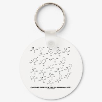 Can You Identify The 20 Amino Acids? (Chemistry) keychain