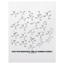 Can You Identify The 20 Amino Acids? (Chemistry) Letterhead