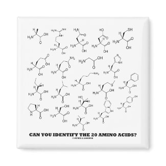 Can You Identify The 20 Amino Acids? (Chemistry) magnet