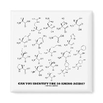 Can You Identify The 20 Amino Acids? (Chemistry) Fridge Magnet