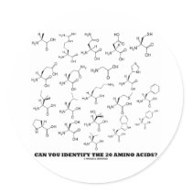 Can You Identify The 20 Amino Acids? (Chemistry) Sticker