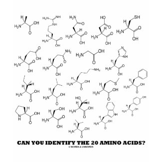Can You Identify The 20 Amino Acids? (Chemistry) shirt