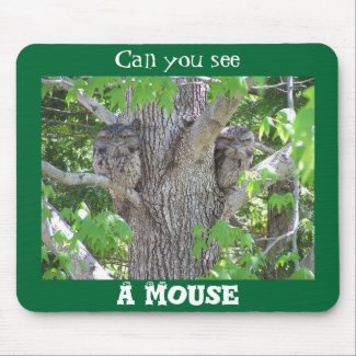 Can you see a mouse? mousepad