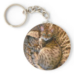 Can you see me? key chains