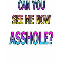 CAN YOU SEE ME t-shirts