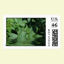 Can you swim? postage