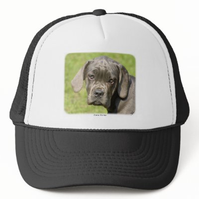 Cana Corso 8R062D-25 Mesh Hat by TraffordPhotos