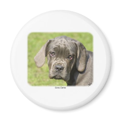 Cana Corso 8R062D-25 Refrigerator Magnets by TraffordPhotos