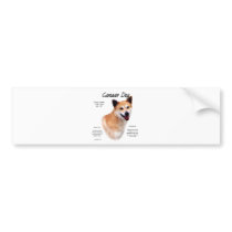 Canaan Dog History Design Bumper Stickers