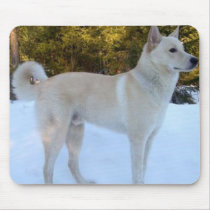 Canaan Dog Mousepad mousepads
