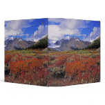 Canada, Alberta, Banff NP. Huckleberries bloom Binder