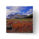 Canada, Alberta, Banff NP. Huckleberries bloom Pinback Button