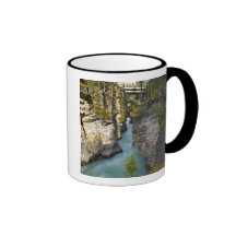 Canada, Alberta, Jasper National Park, Athabasca 2 Mugs