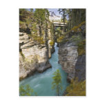 Canada, Alberta, Jasper National Park, Athabasca 2