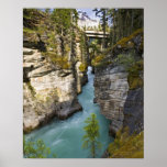 Canada, Alberta, Jasper National Park, Athabasca 2