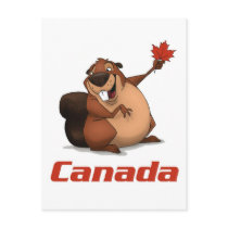 Canada Beaver Postcard