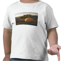 Canada, British Columbia, Cathedral Provincial Shirts