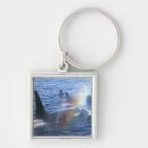Canada, British Columbia, Johnstone Straight, Key Chain