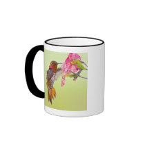 Canada, British Columbia, Rufous Hummingbird Mugs