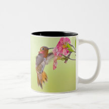 Canada, British Columbia, Rufous Hummingbird Mugs