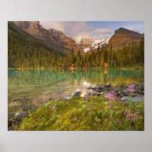 Canada, British Columbia, Yoho National Park. 2 Posters