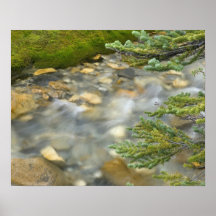 Canada, British Columbia, Yoho National Park. 4 Posters