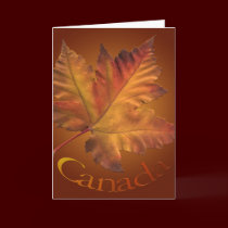 Canada Cards Canada Maple Leaf Greeting Cards cards