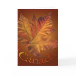 Canada Cards Canada Maple Leaf Greeting Cards
