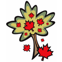 Canada Day t-shirts