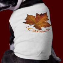 Canada Dog T-shirts Gifts Canada Pet Souvenir pet clothing