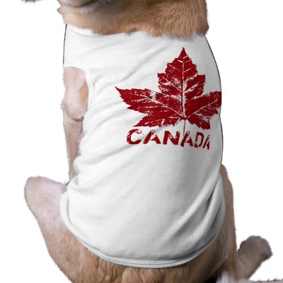 canada dogs