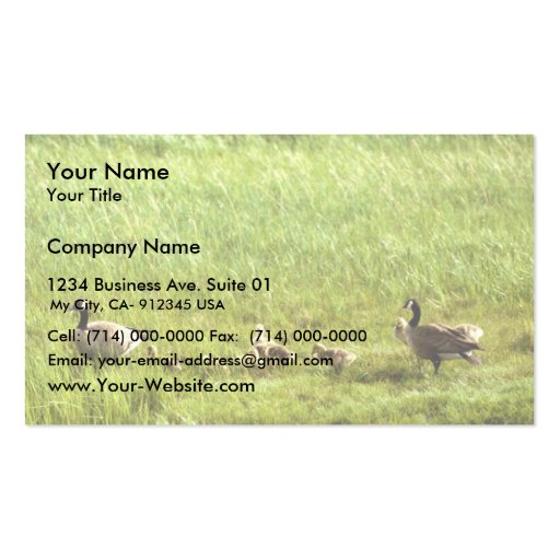 Canada geese and brood business cards (front side)
