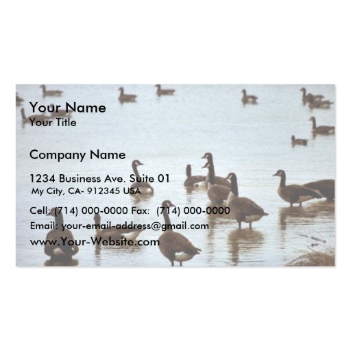 Canada geese at an Ohio wetland area Business Cards