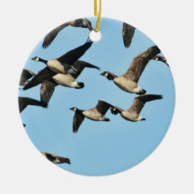 Canada Geese Flock in Flight Christmas Ornaments