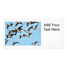 Canada Geese Flock in Flight Custom Photo Card
