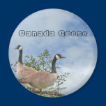 Canada Geese Magnet