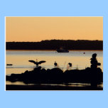 Canada Geese postcards